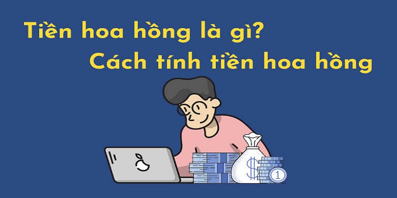 Cách tính hoa hồng được hệ thống cập nhật chuẩn nhất